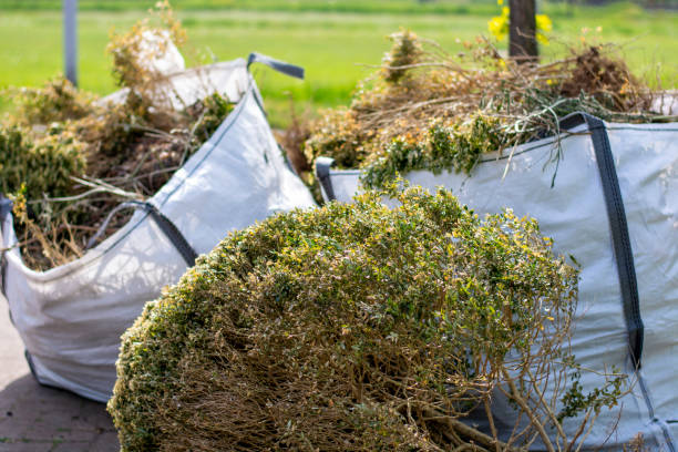 Debris Removal in Carleton, MI